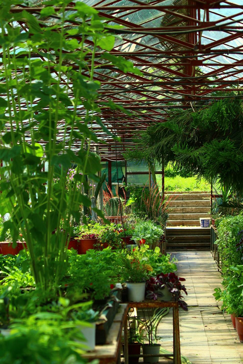 Green Infrastructure