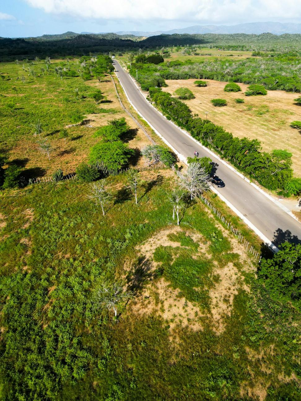 Landscape Plan
