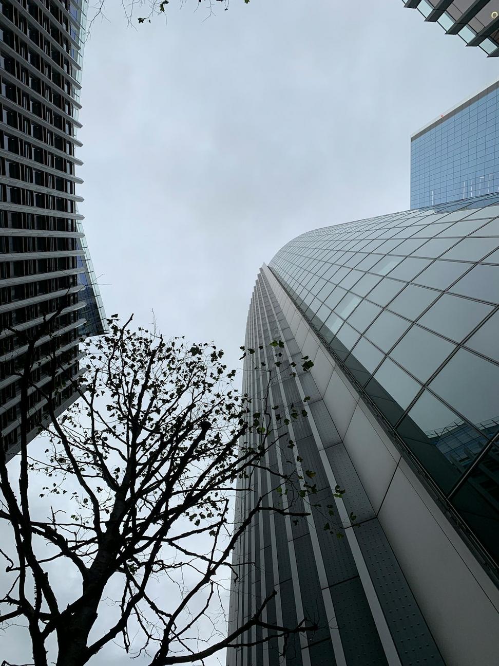 FlareFlux Quimora Office